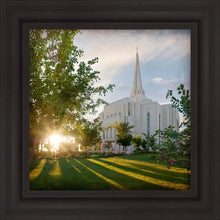 Load image into Gallery viewer, Gilbert Brightness and Glory
