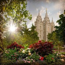 Load image into Gallery viewer, Salt Lake Brightness and Glory
