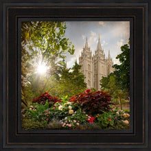 Load image into Gallery viewer, Salt Lake Brightness and Glory
