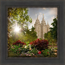 Load image into Gallery viewer, Salt Lake Brightness and Glory
