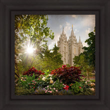 Load image into Gallery viewer, Salt Lake Brightness and Glory
