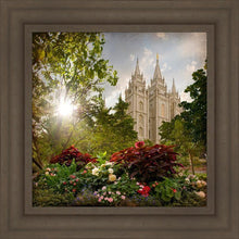 Load image into Gallery viewer, Salt Lake Brightness and Glory
