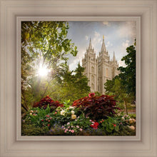 Load image into Gallery viewer, Salt Lake Brightness and Glory
