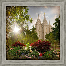 Load image into Gallery viewer, Salt Lake Brightness and Glory
