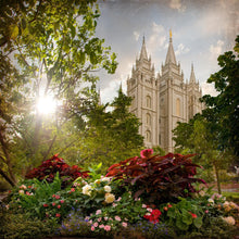 Load image into Gallery viewer, Salt Lake Brightness and Glory
