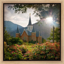 Load image into Gallery viewer, Provo CC Brightness and Glory
