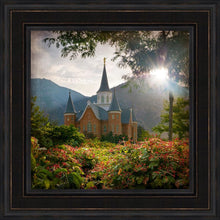 Load image into Gallery viewer, Provo CC Brightness and Glory
