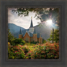 Load image into Gallery viewer, Provo CC Brightness and Glory
