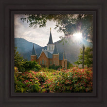 Load image into Gallery viewer, Provo CC Brightness and Glory
