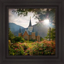 Load image into Gallery viewer, Provo CC Brightness and Glory
