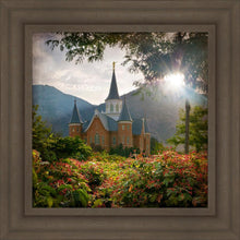 Load image into Gallery viewer, Provo CC Brightness and Glory
