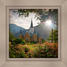 Load image into Gallery viewer, Provo CC Brightness and Glory
