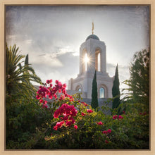 Load image into Gallery viewer, Newport Beach Brightness and Glory
