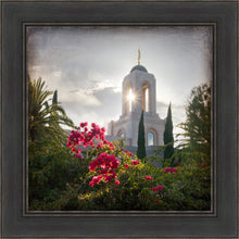Load image into Gallery viewer, Newport Beach Brightness and Glory
