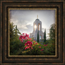 Load image into Gallery viewer, Newport Beach Brightness and Glory
