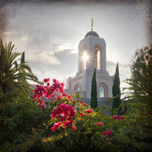 Load image into Gallery viewer, Newport Beach Brightness and Glory
