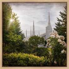 Load image into Gallery viewer, Portland Brightness and Glory
