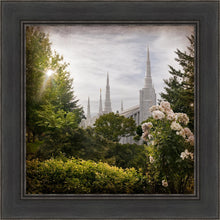 Load image into Gallery viewer, Portland Brightness and Glory

