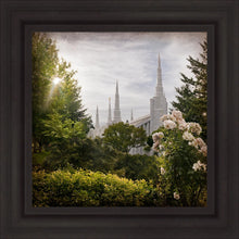 Load image into Gallery viewer, Portland Brightness and Glory
