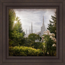 Load image into Gallery viewer, Portland Brightness and Glory
