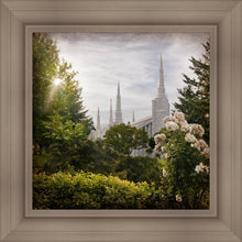 Load image into Gallery viewer, Portland Brightness and Glory
