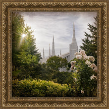 Load image into Gallery viewer, Portland Brightness and Glory
