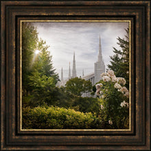 Load image into Gallery viewer, Portland Brightness and Glory

