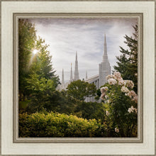 Load image into Gallery viewer, Portland Brightness and Glory
