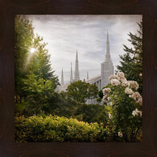 Load image into Gallery viewer, Portland Brightness and Glory
