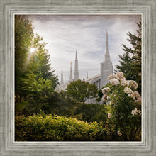 Load image into Gallery viewer, Portland Brightness and Glory
