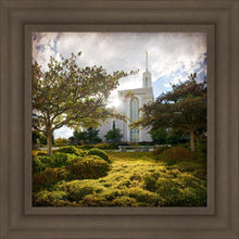 Load image into Gallery viewer, Mt. Timpanogos Brightness and Glory Gallery Wrap
