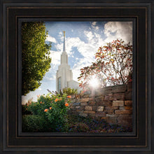 Load image into Gallery viewer, Twin Falls Brightness and Glory

