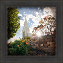 Load image into Gallery viewer, Twin Falls Brightness and Glory
