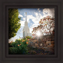 Load image into Gallery viewer, Twin Falls Brightness and Glory
