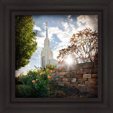 Load image into Gallery viewer, Twin Falls Brightness and Glory
