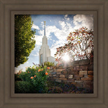 Load image into Gallery viewer, Twin Falls Brightness and Glory
