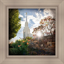 Load image into Gallery viewer, Twin Falls Brightness and Glory

