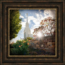 Load image into Gallery viewer, Twin Falls Brightness and Glory
