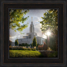 Load image into Gallery viewer, Draper Brightness and Glory
