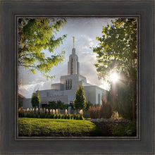 Load image into Gallery viewer, Draper Brightness and Glory
