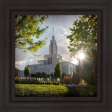 Load image into Gallery viewer, Draper Brightness and Glory
