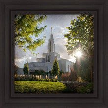 Load image into Gallery viewer, Draper Brightness and Glory
