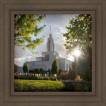 Load image into Gallery viewer, Draper Brightness and Glory
