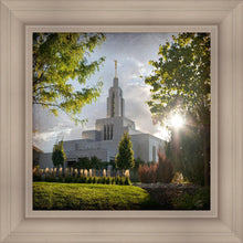 Load image into Gallery viewer, Draper Brightness and Glory
