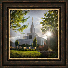 Load image into Gallery viewer, Draper Brightness and Glory
