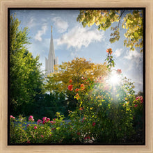 Load image into Gallery viewer, Jordan River Brightness and Glory
