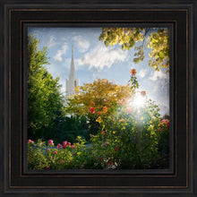 Load image into Gallery viewer, Jordan River Brightness and Glory
