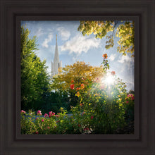 Load image into Gallery viewer, Jordan River Brightness and Glory

