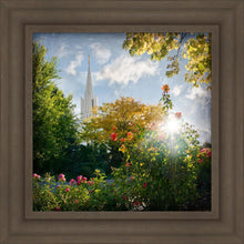 Load image into Gallery viewer, Jordan River Brightness and Glory
