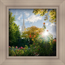 Load image into Gallery viewer, Jordan River Brightness and Glory

